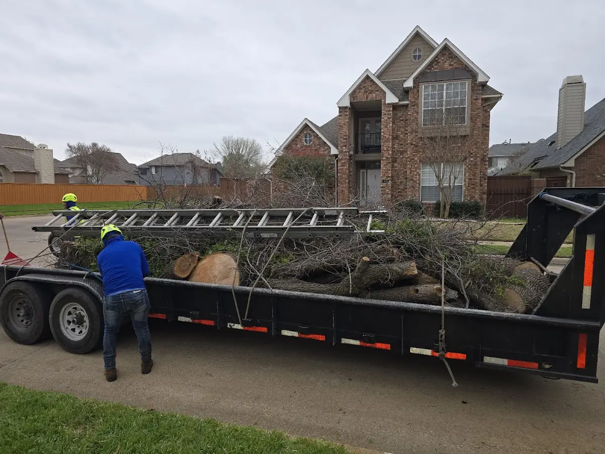 Expert Deadwooding with proper safety equipment in Rock Hill
